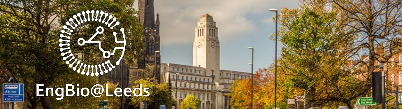 EngBio@Leeds banner with University of Leeds campus background.