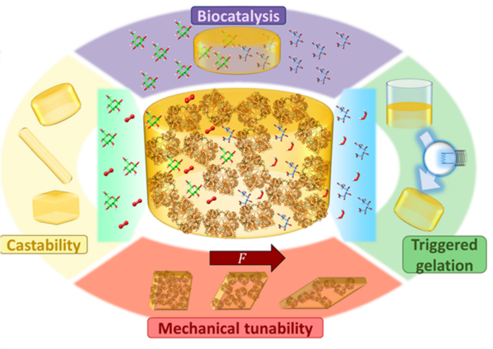 Figure for protein scaffolds